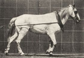 Plate 571 'Johnson' hauling — figure reference